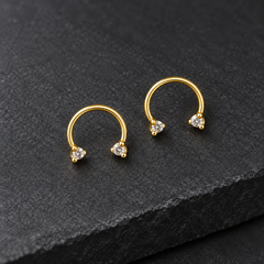 Earrings 696 — product photograph