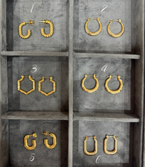 Earrings 207