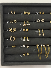 Earrings 221