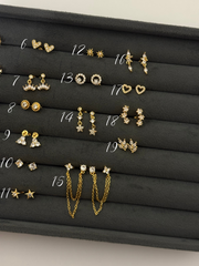 Earrings 221