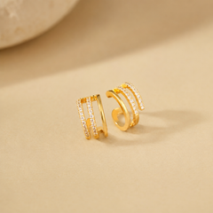 Earrings 568