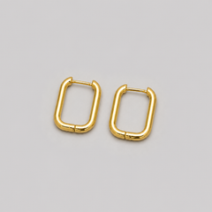 Earrings 290