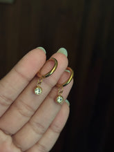 Earrings 090