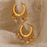 Earrings 076