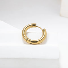 Earrings 078