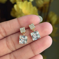 Earrings 170