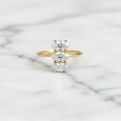 Rings 113