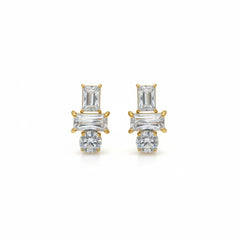 Earrings 343