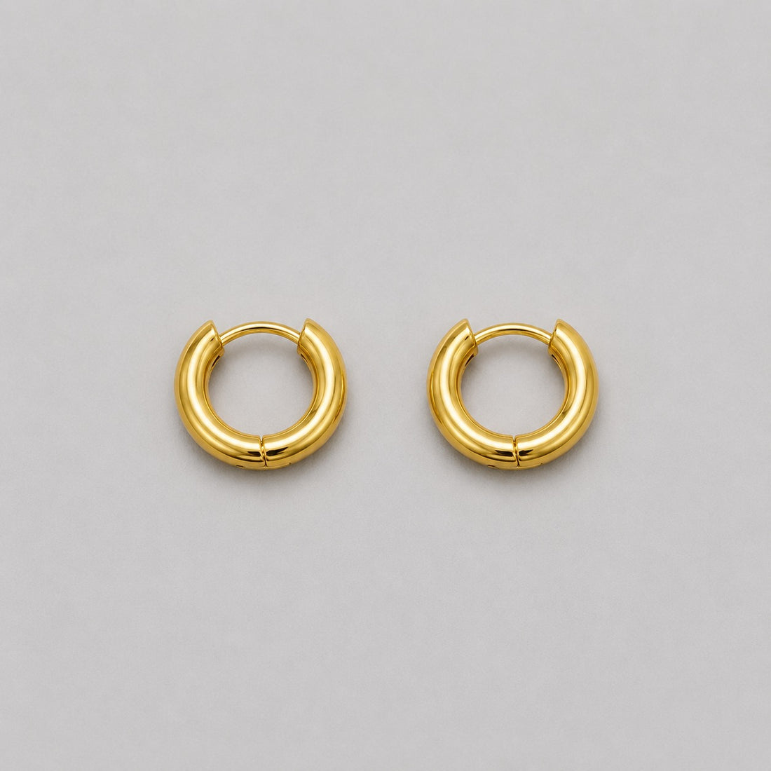 Earrings 593