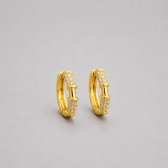 Earrings (Huggie Ear piercing) 303