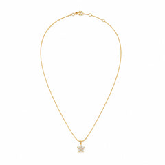 Necklace 739