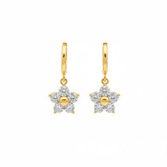 Earrings 368