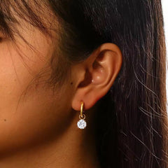 Earrings 377