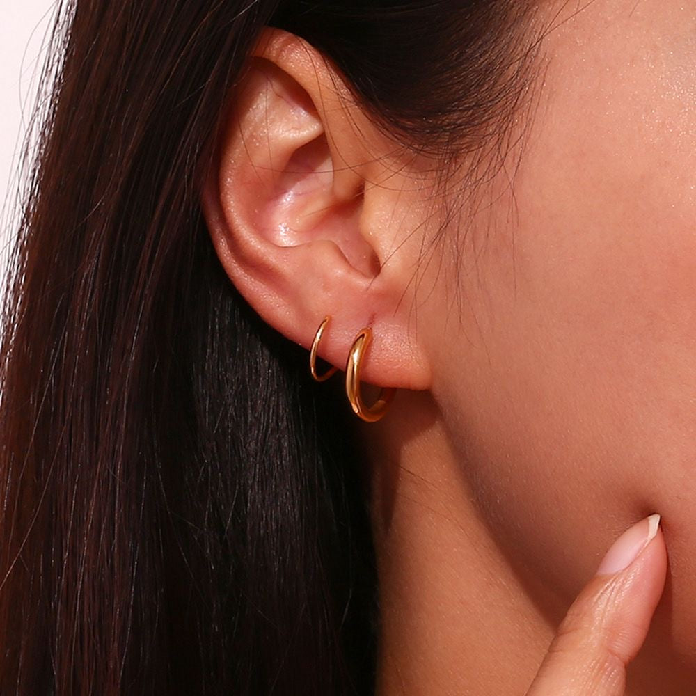 Earrings 567