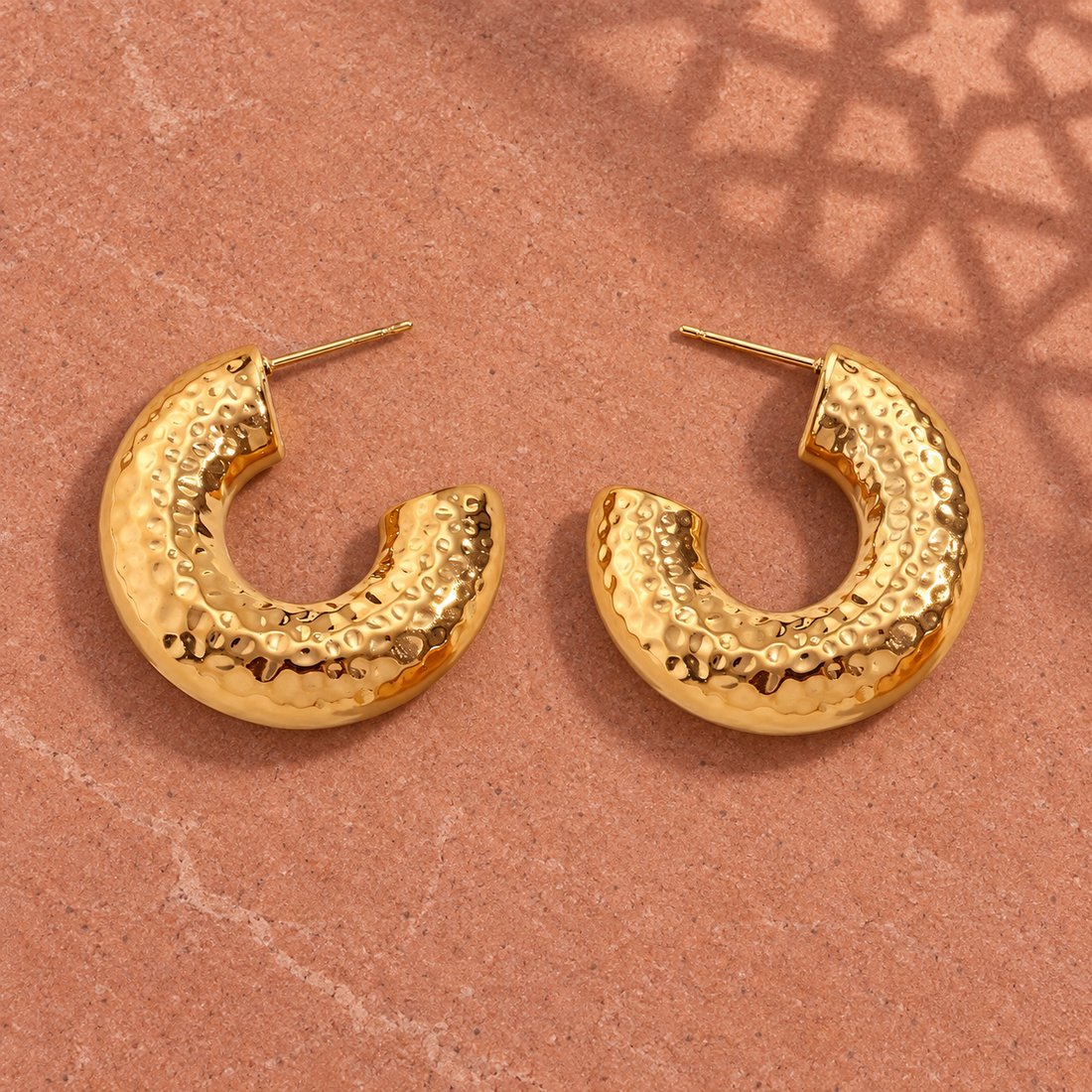 Earrings 731 — product photograph