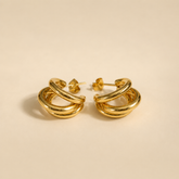 Earrings 316