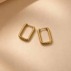 Earrings 423