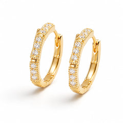 Earrings 226