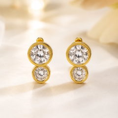 Earrings 413