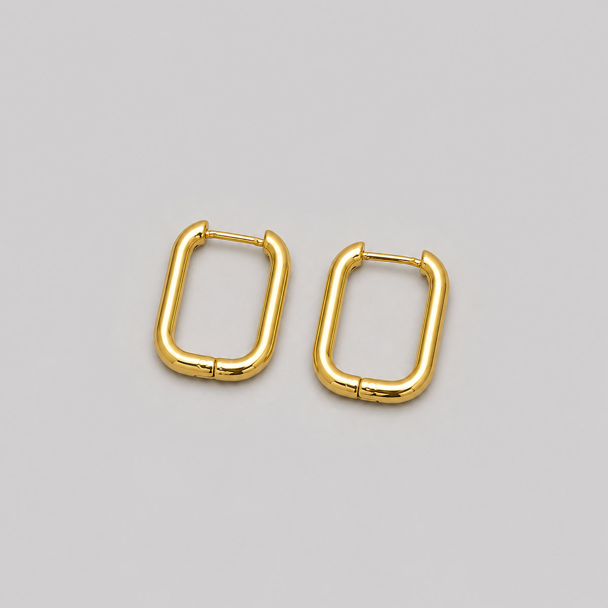 Earrings 290