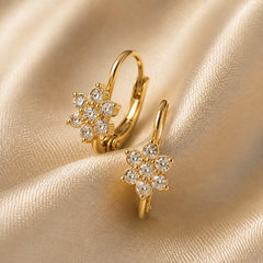 Earrings 652