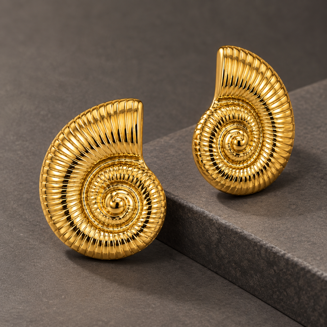Earrings 645