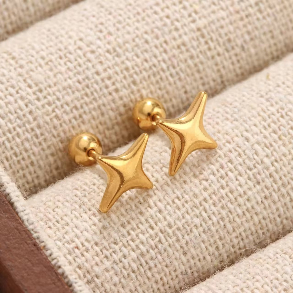 Earrings 128
