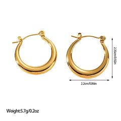 Earrings 144