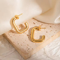 Earrings 155