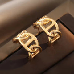 Earrings 236