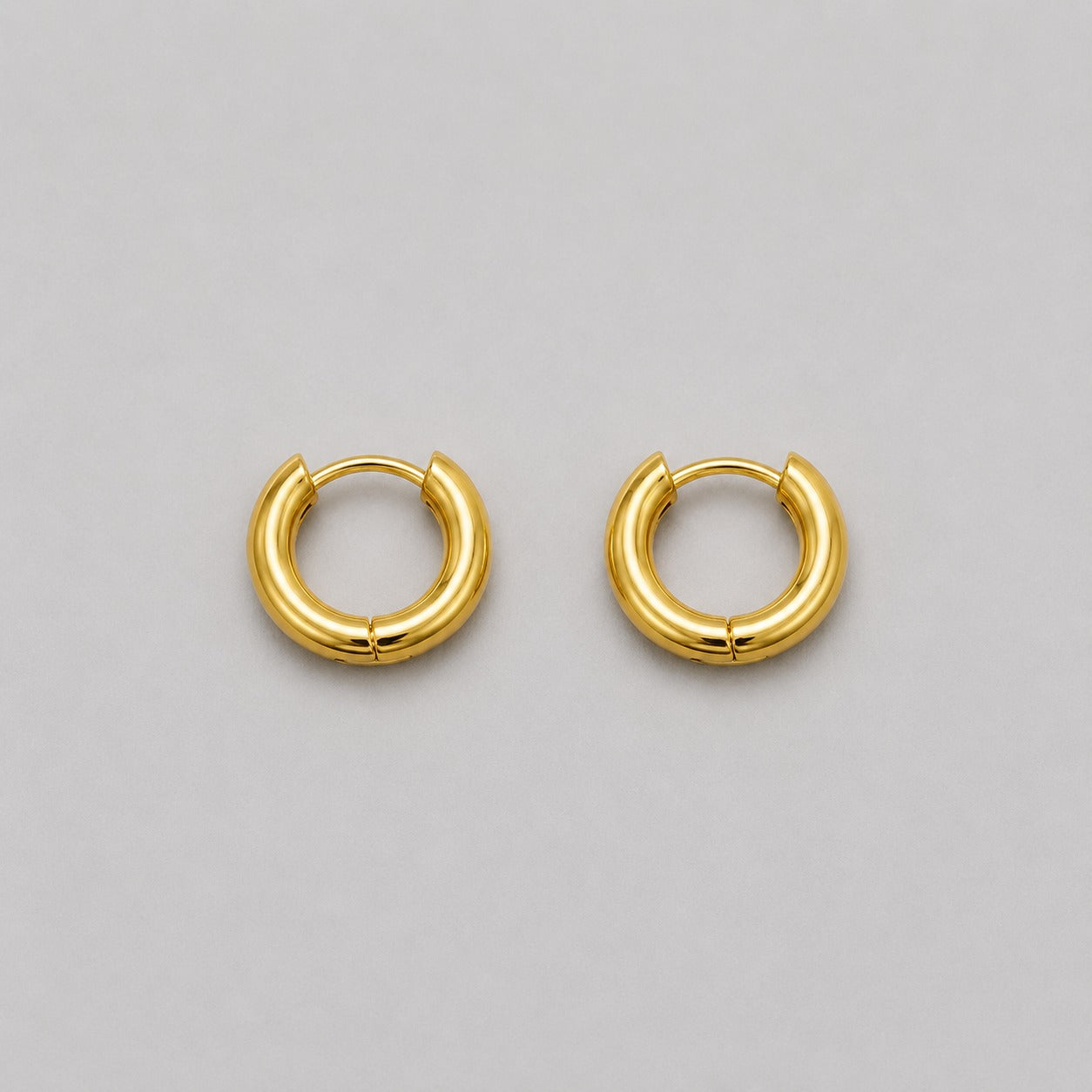 Earrings 593