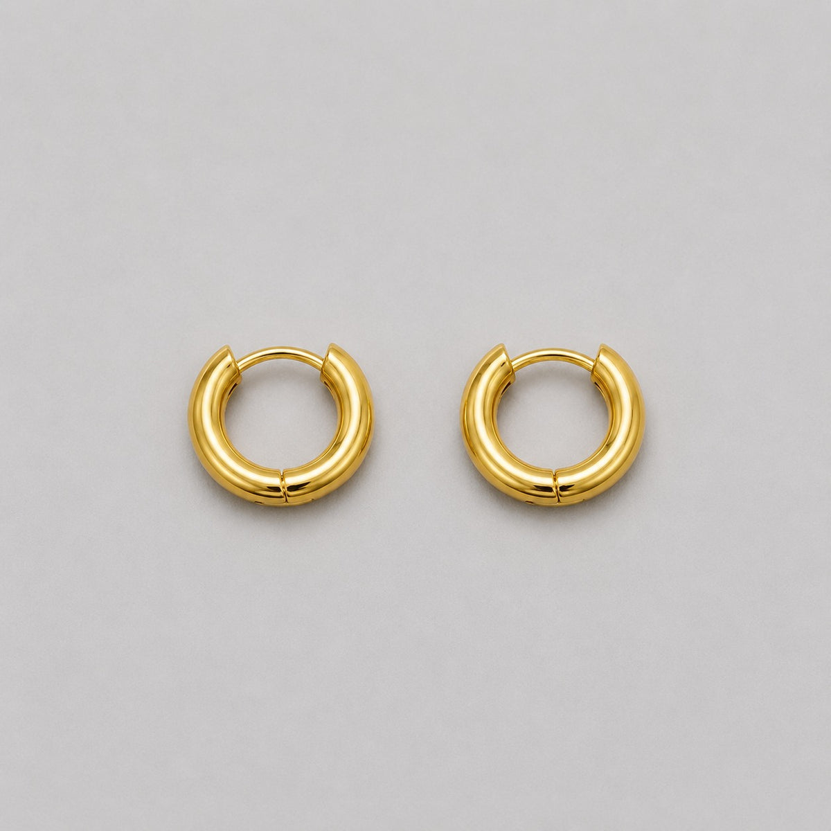 Earrings 593