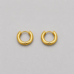 Earrings 593