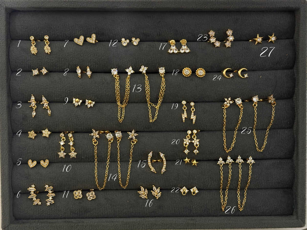 Earrings 248