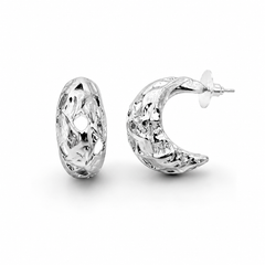 Earrings 245