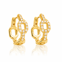 Earrings 223