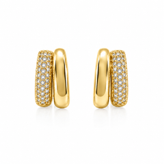 Earrings 263